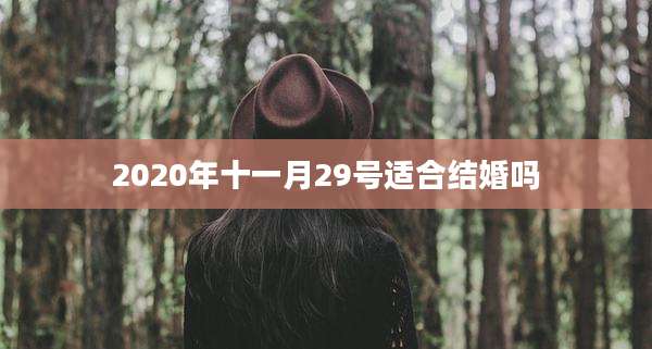 2020年十一月29号适合结婚吗