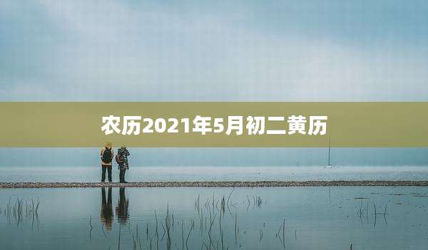 农历2021年5月初二黄历