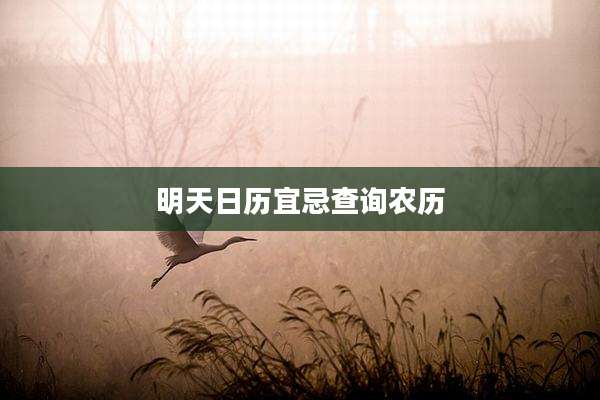 明天日历宜忌查询农历