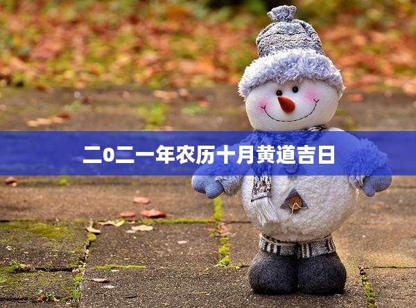 二0二一年农历十月黄道吉日