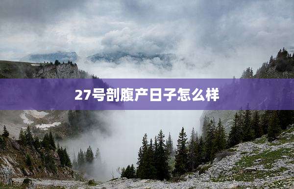 27号剖腹产日子怎么样