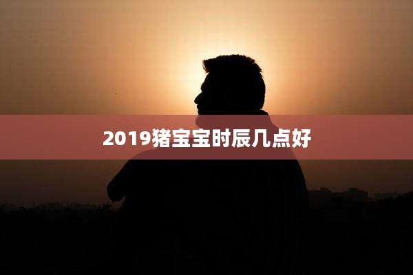 2019猪宝宝时辰几点好