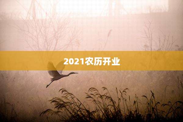 2021农历开业