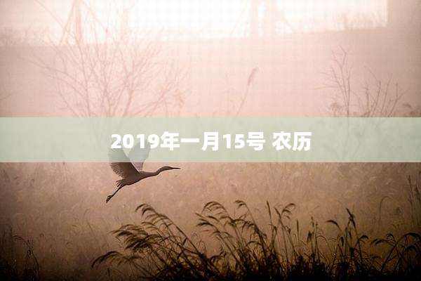 2019年一月15号 农历
