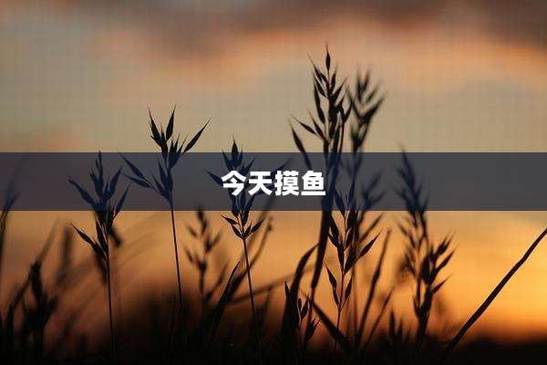 今天摸鱼