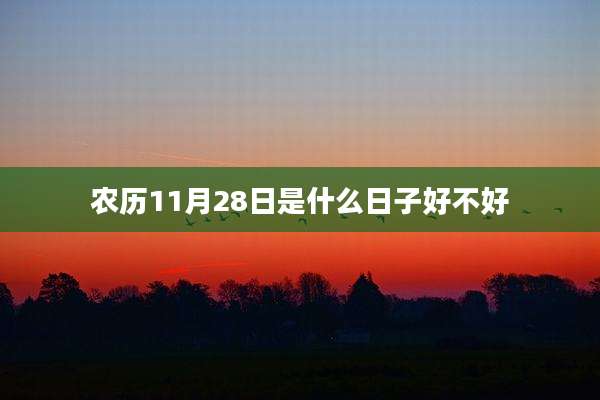 农历11月28日是什么日子好不好