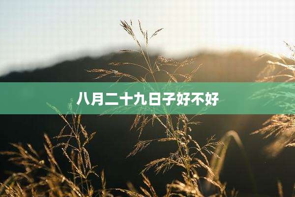 八月二十九日子好不好