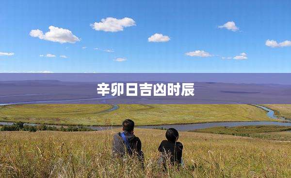 辛卯日吉凶时辰