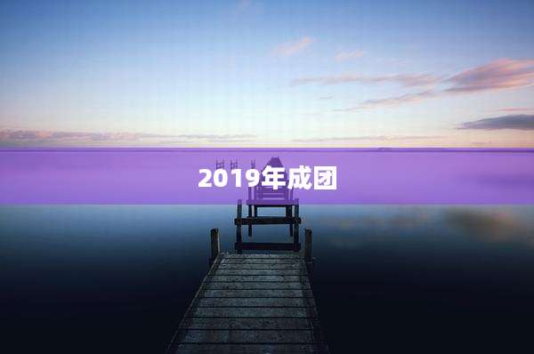 2019年成团