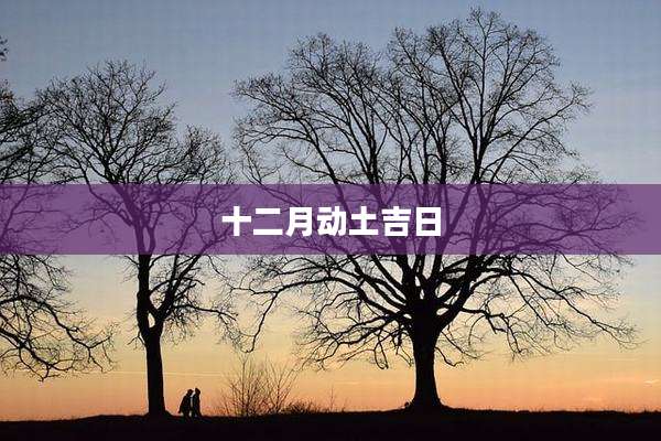 十二月动土吉日