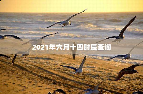 2021年六月十四时辰查询