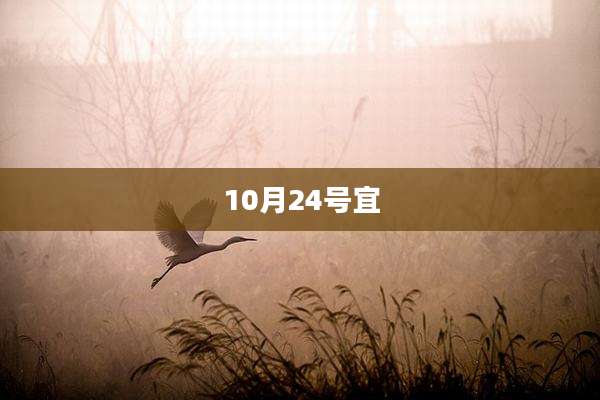 10月24号宜