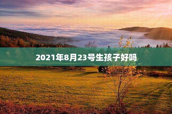 2021年8月23号生孩子好吗