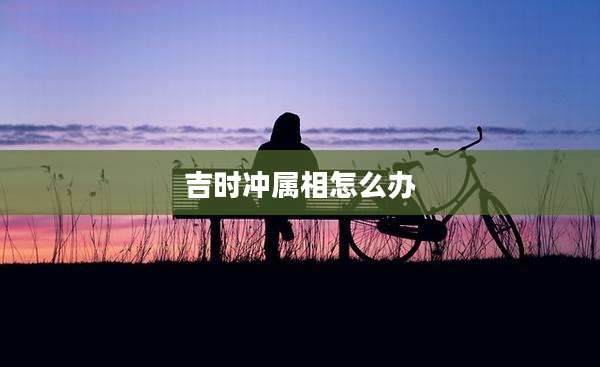 吉时冲属相怎么办