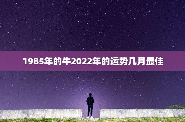 1985年的牛2022年的运势几月最佳