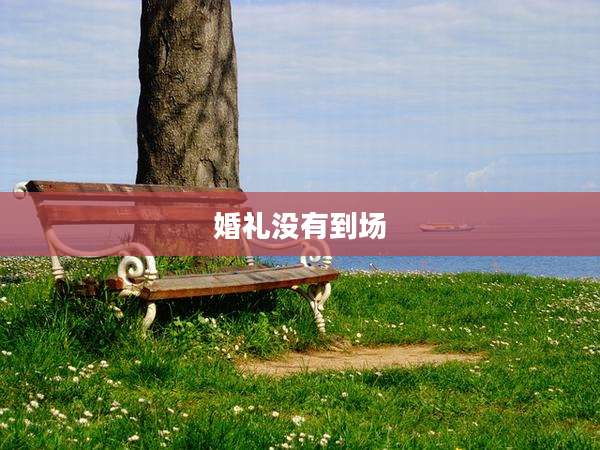 婚礼没有到场