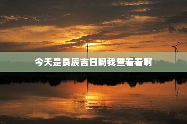 今天是良辰吉日吗我查看看啊