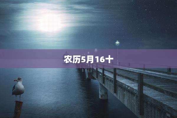 农历5月16十