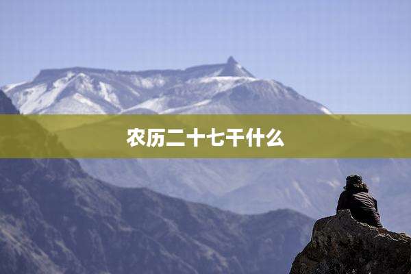 农历二十七干什么