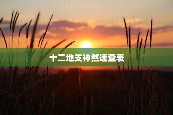 十二地支神煞速查表