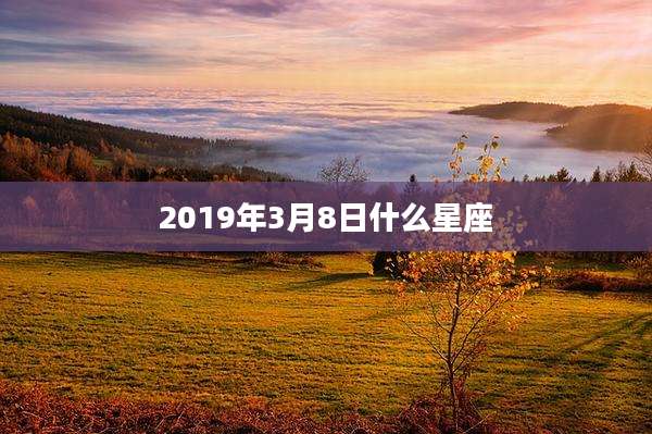 2019年3月8日什么星座