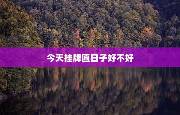 今天挂牌匾日子好不好