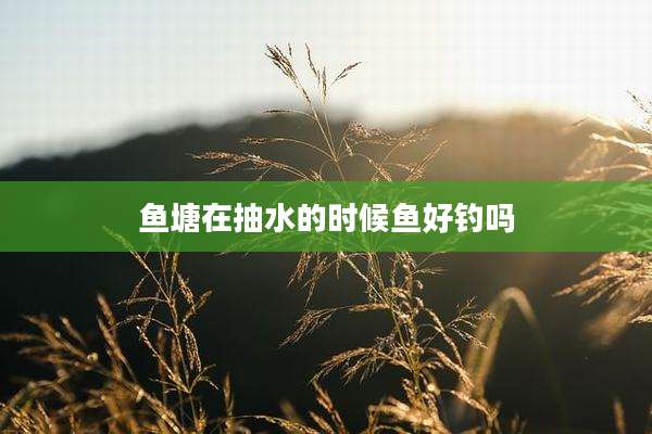 鱼塘在抽水的时候鱼好钓吗