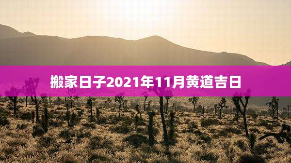 搬家日子2021年11月黄道吉日