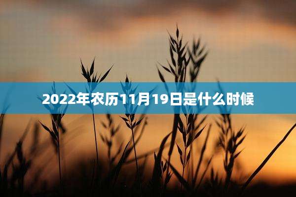 2022年农历11月19日是什么时候