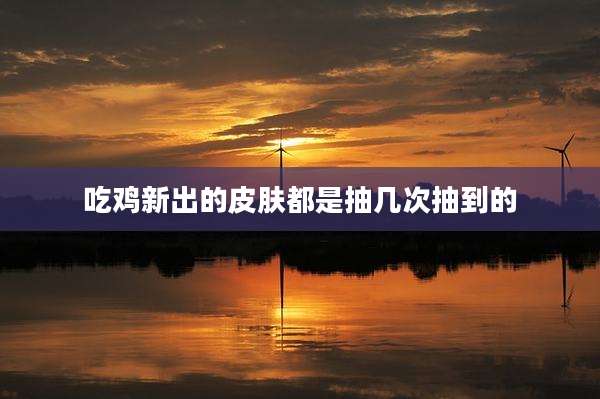 吃鸡新出的皮肤都是抽几次抽到的