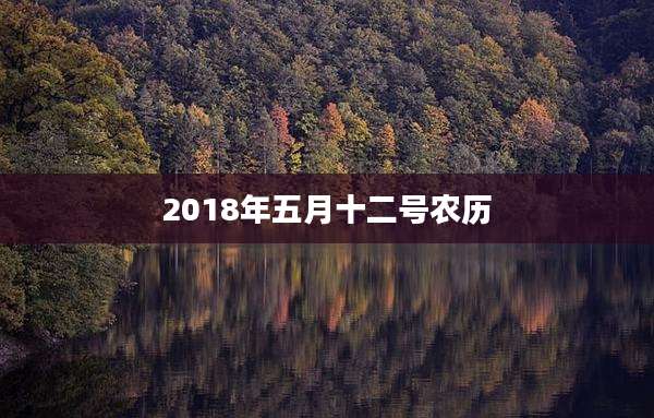 2018年五月十二号农历