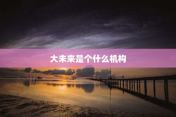大未来是个什么机构