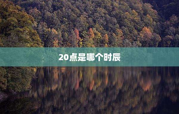 20点是哪个时辰