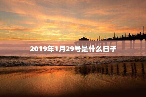 2019年1月29号是什么日子