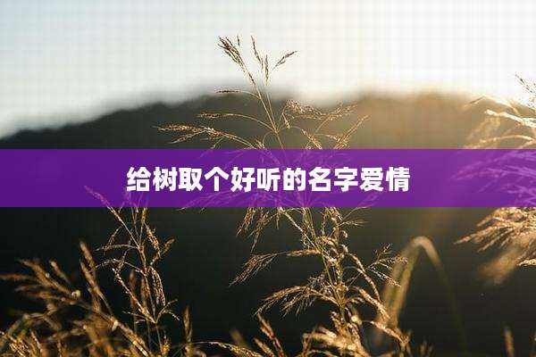 给树取个好听的名字爱情