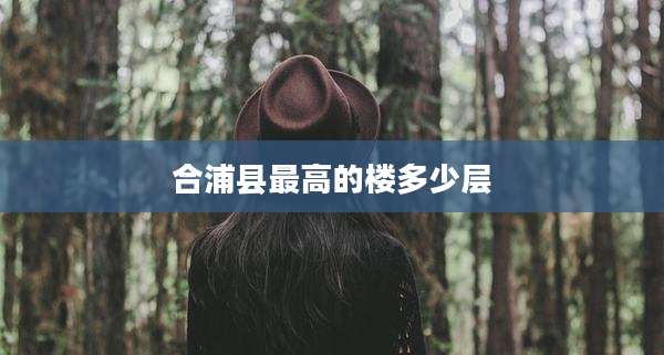 合浦县最高的楼多少层