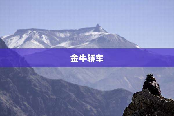 金牛轿车