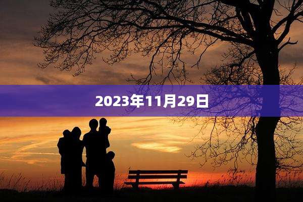 2023年11月29日