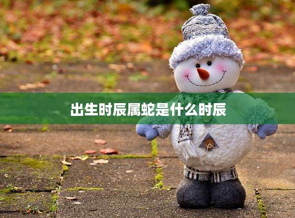 出生时辰属蛇是什么时辰