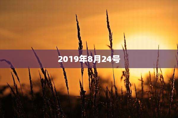 2019年8月24号