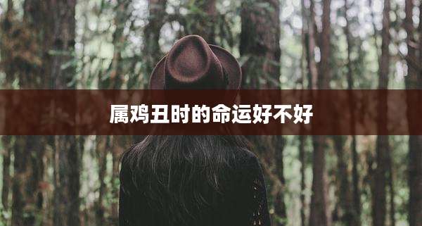 属鸡丑时的命运好不好