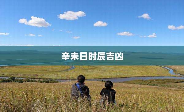 辛未日时辰吉凶