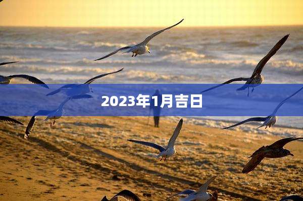 2023年1月吉日