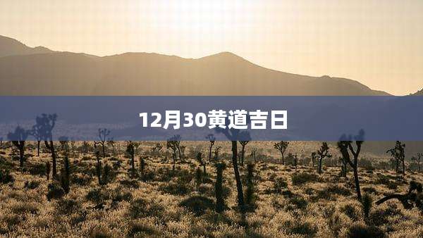 12月30黄道吉日