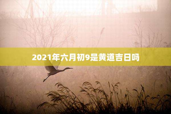 2021年六月初9是黄道吉日吗
