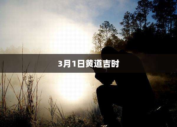 3月1日黄道吉时