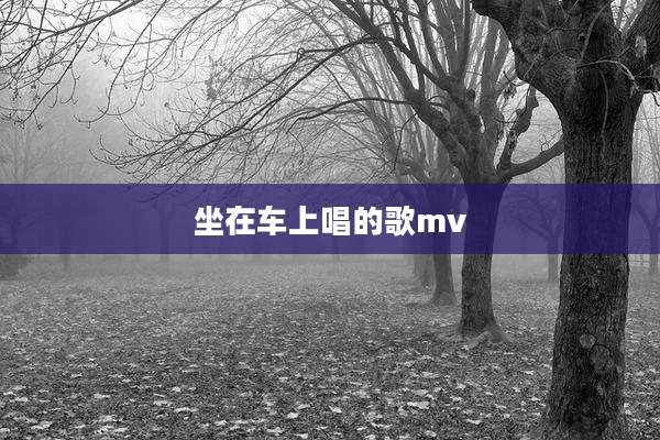 坐在车上唱的歌mv