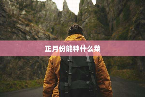 正月份能种什么菜