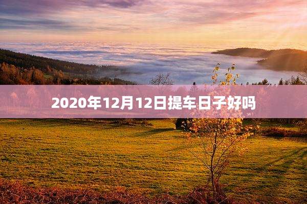 2020年12月12日提车日子好吗