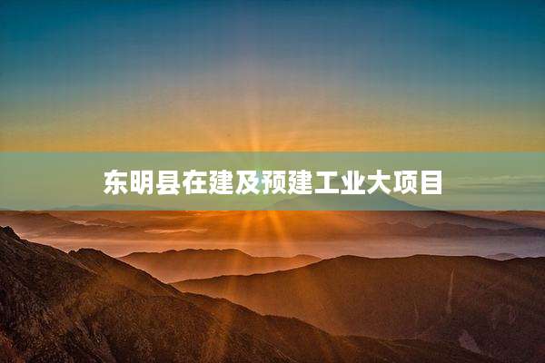 东明县在建及预建工业大项目